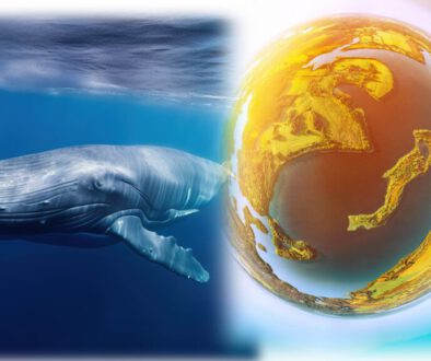 whale and earth